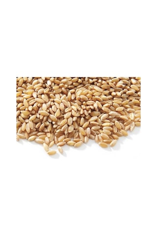 Buğday Yem 5 Kg Doğal Buğday Yemi Tavuk Yemi Kuş Yemi Kanatlı Yem