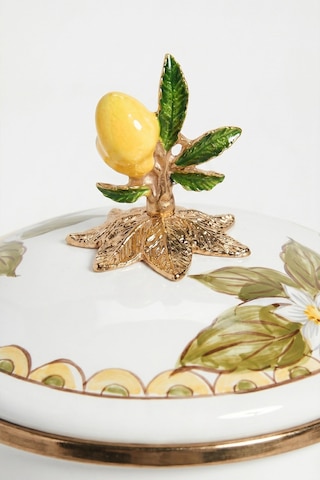 Linda Limon Desenli Emaye Kavanoz Çok Renkli