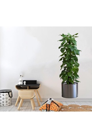 Saksılı Bitki Tasarımlı Yapışkanlı Sticker Resim 90 30 Cm Mc-665 Yeşil