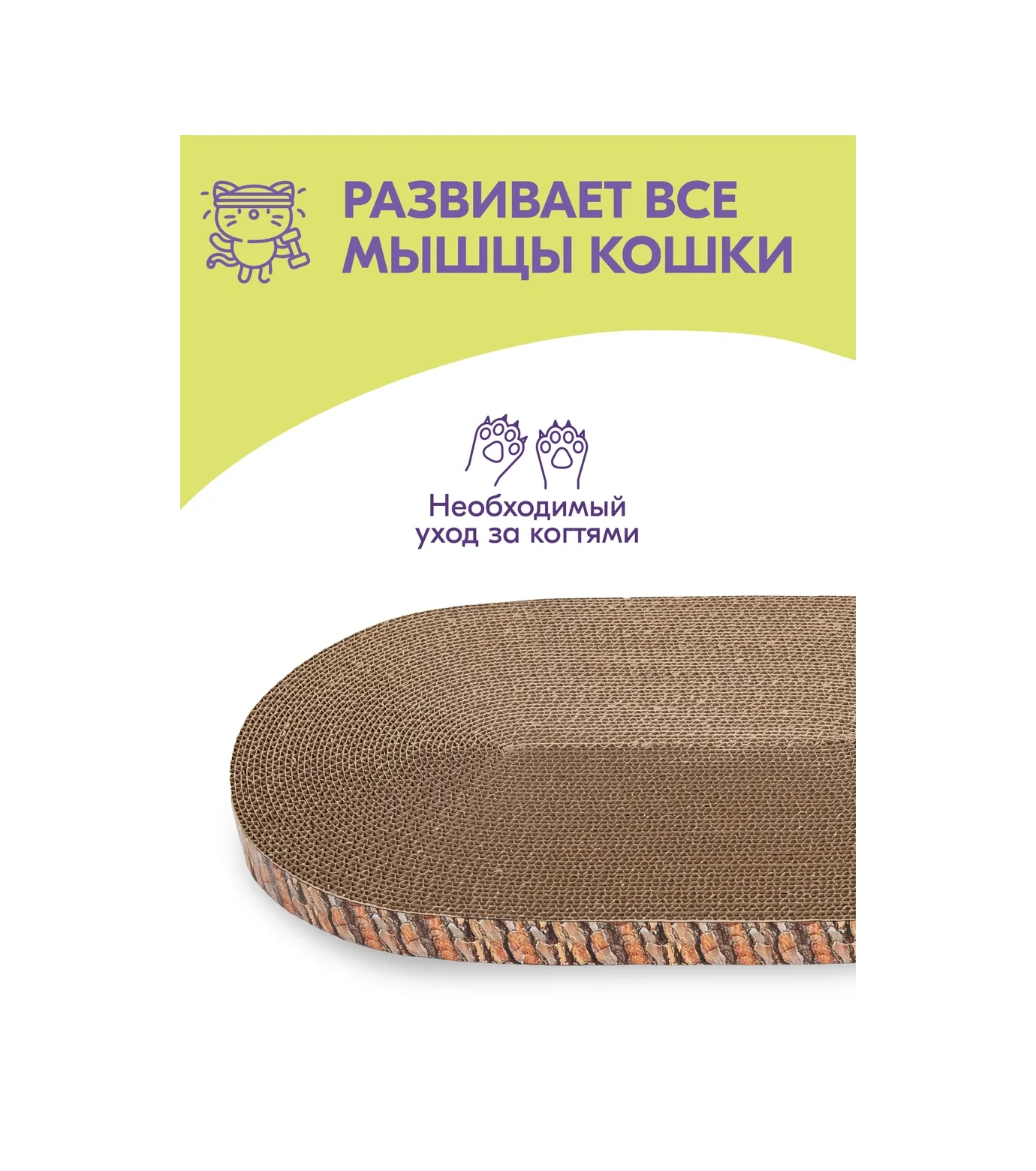 Pettails Kedi Tırmalama Tahtası Karton, Yer Tipi, Kedi Nanesi İle 371689574