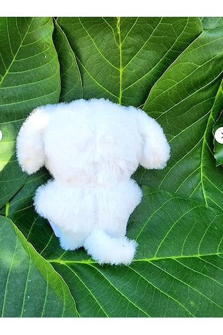 Pepikon Skzoo Enhypen Kpop Peluş Oyuncak Anahtarlık 10 Cm Süpriz Hediyelidir Beyaz - Pembe