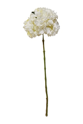Pasabahce Ortanca 60 Cm Beyaz - 1 Adet