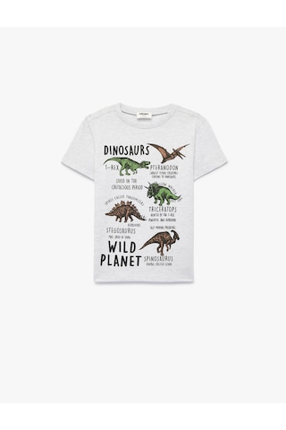 Koton Kısa Kollu Bisiklet Yaka Dinozor Baskılı Tişört Gri 6skb10181tk