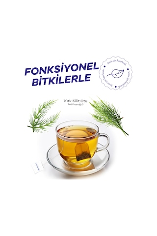 Prof Saracoglu Atkuyruğu Kırkkilitotu Equisetum Arvense Bitki Çayı 20'li