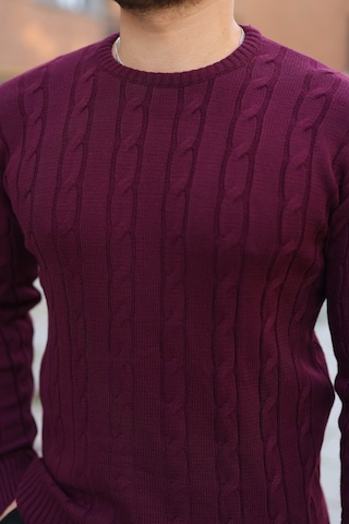 Erkek Örgü Desen Bisiklet Yaka Kazak Mürdüm