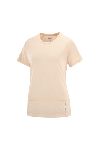 Salomon Cross Run Ss Tee W 27956 Çok Renkli
