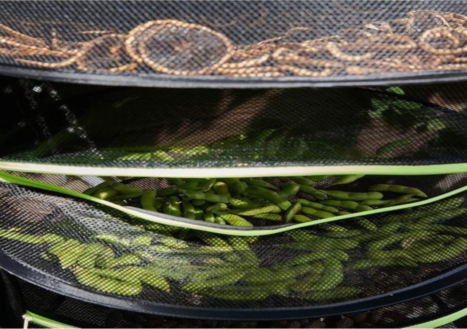 Dofolink Katlı Bitki Kurutma Ağı - 2/4/6/8 Katlı, Katlanabilir, Siyah Ağ, Çayır Otları, Sebzeler İçin Kurutma Rafı