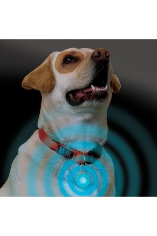 Nite-ize Spotlit White Çok Renkli