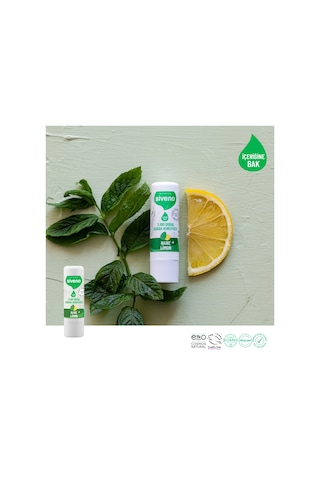 Siveno %100 Doğal Dudak Koruyucu Nane & Limon Bitkisel Lip Balm Krem Nemlendirici Parlatıcı Onarıcı 6 G