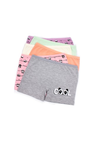 Öts Kız Çocuk 6 Lı Pamuklu Boxer Baskılı Premium Günlük Kullanım 8712-6 Renkli