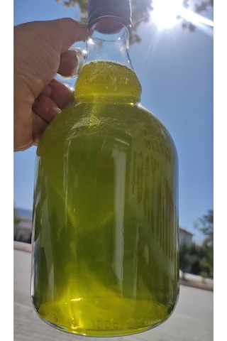 Sazak Erken Hasat Soğuk Sıkım Sızma Zeytinyağı 2 L