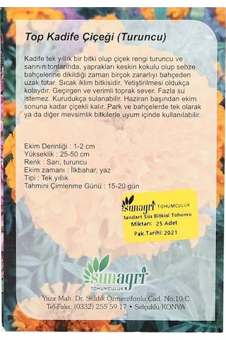 SunaGRi Turuncu Top Kadife Çiçek Tohumu