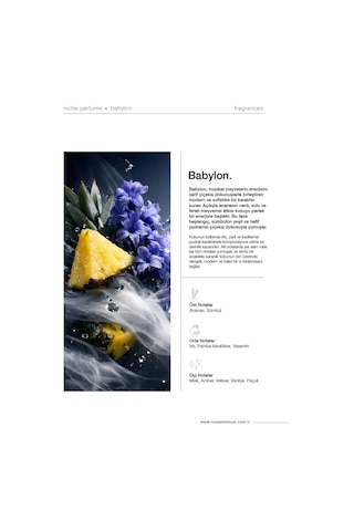 Babylon 100 Ml Nıche Parfüm Meyveli