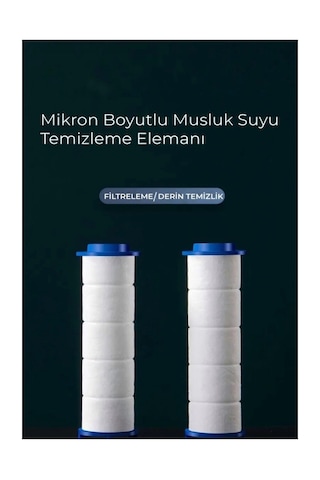 2 Adet Kireç Önleyici Duş Filtresi