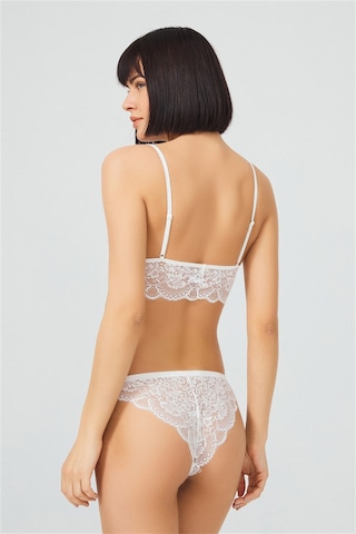 Krem Dantelli Transparan Balensiz Kadın Sütyen Takımı Krem