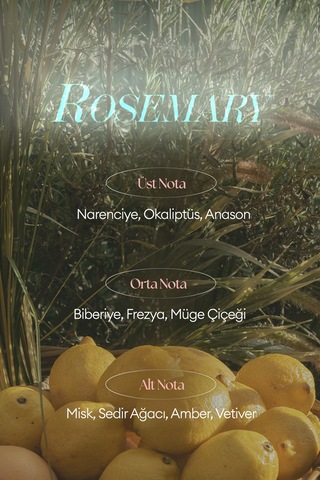 Missha A'pıeu Juicy Pang Perfume Hand Cream Rosemary