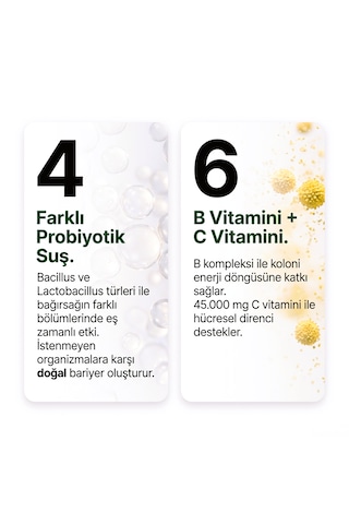 Vetorax Bee Control Arılar İçin Probiyotik Yem Premiksi 800 G