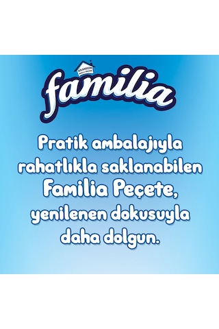 Familia 100'lü Peçete (8 Paket x 100 Yaprak)