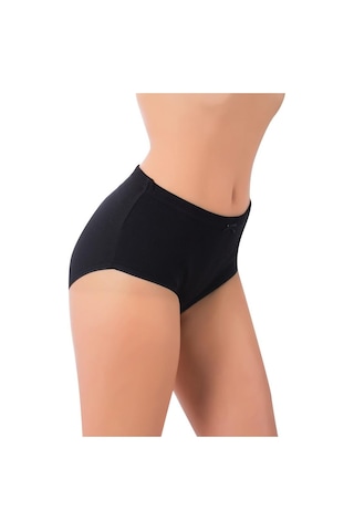 Gümüş Kadın Çizgili Bato Külot 3092 - 6 Adet