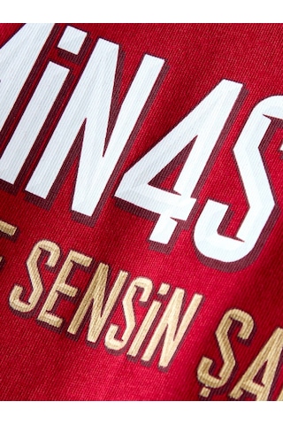 Galatasaray Lisanslı 2026 Şampiyonluk Dominasyon Kırmızı Tişört Aslan Ahşap Kutulu