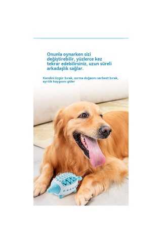 Mytopped Köpekler Diş Gıcırdıyor Oyuncak Kirpi Sızdıran Yiyecek Cihazı İnteraktif Eğitim Eğitici Köpek Oyuncakları Anti-diş Sızdıran Top