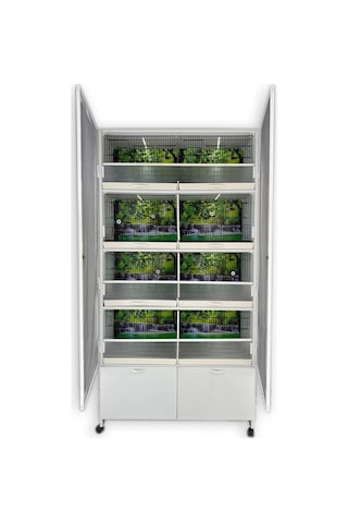 İstanbul Kafes Model 8D Pvc Kuş Dolabı