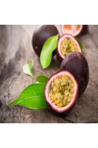 Mor Meyveli Passiflora Passion Fruit Çarkıfelek Tohumu-7 Adet