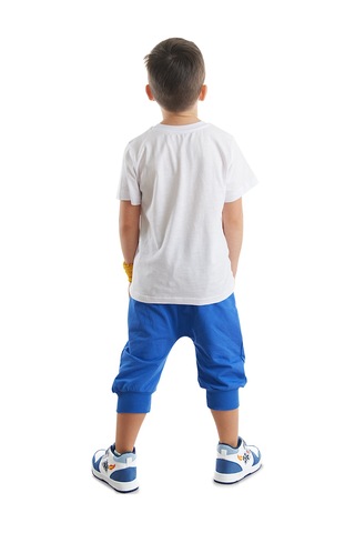 Denokids Surf Fox Erkek Çocuk Yazlık T-shirt Kapri Şort Takım