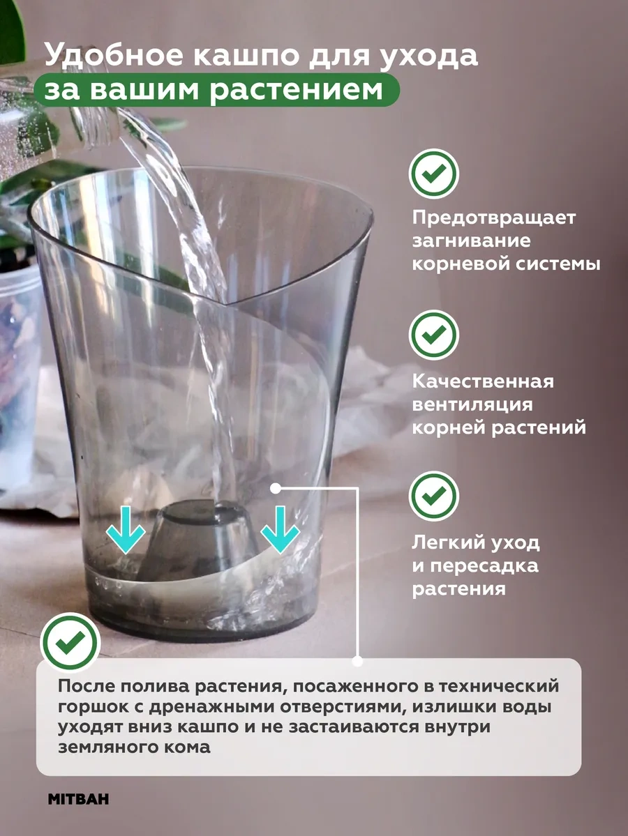 Mıtbah Şeffaf Orkide Saksısı Saksı 2 Adet 74247173