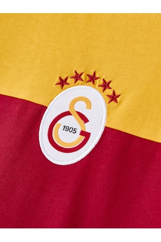 Gsstore Galatasaray Erkek T-shirt E261040 Sarı - Kırmızı