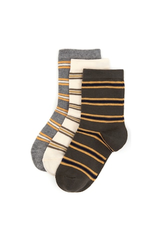 U.S. Polo Assn. U.s. Polo Assn. Erkek Çocuk Haki Çorap Soket 50318042-vr027