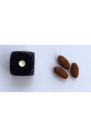 Homie Süper Premium Düşük Tahıllı Puppy Kuzu Etli Yavru Köpek Maması 12 Kg