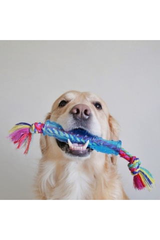 Orka Stick Alternatif İpli Köpek Çiğneme Oyuncağı - Parçalanmaya Dayanıklı Ve Güvenli