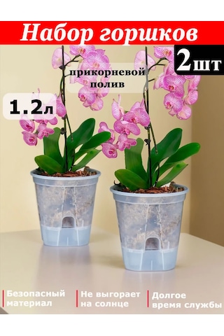 Saburg Tabandan Sulamalı Orkide Saksısı 2 Ad 368352992