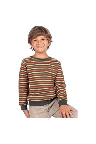 Erkek Çocuk Recycle Pamuk Çizgili Sweatshirt 001 Çok Renkli