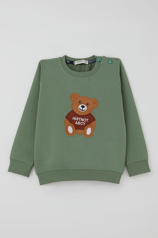 Breeze Erkek Bebek Eşofman Takımı Sevimli Ayıcık Nakış Detaylı 9 Ay-3 Yaş, Mint Yeşili