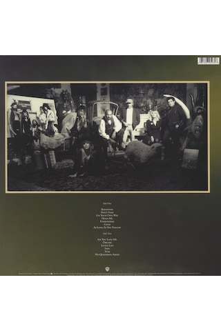 Fleetwood Mac - Greatest Hits (Plak)