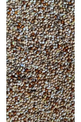 Muhabbet Kuş Yemi 20 Kg Karışık İçerik B 302 20 KG