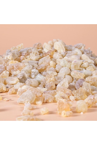 Ak Günlük Sakızı 60 Gr