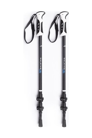 Evolite Walking Quick-lock Dıştan Kilitli Trekking Batonu Çok Renkli