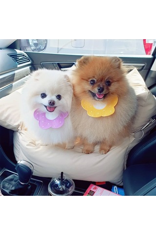 Lemestar Köpek Ve Kedi Tükenmez Kumaş Mendili Mor-m - 15 Kg'a Kadar Uygun - 15x10 Cm