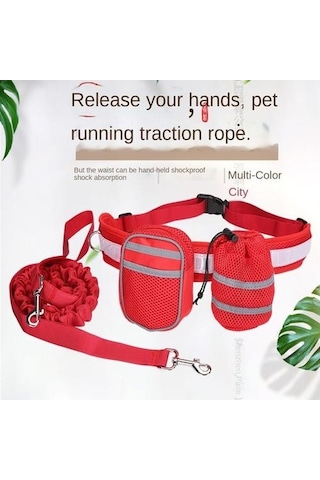 Soulader Köpek Eğitim Seti, Spor Çantası, Yürüyüş Kemeri, Su Kabı, Ödül Çantası Ve Çekiş Oyun İpi Dahil Dört Parçalı Aktivite Paketi