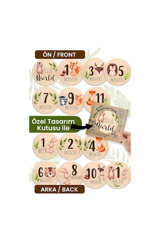 Aylık Bebek Kartları Ingilizce Milestone Cards Bebek Hediyelik Anı Kartı Ay Kartları