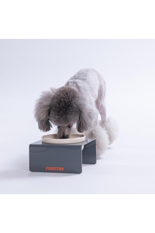 Antrasit Tekli Seramik-pleksi Mama Ve Su Kabı-kedi Köpek Mama Su Kabı