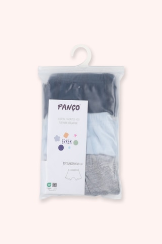 Panço Erkek Çocuk Basic 3'lü Boxer Seti Renkli