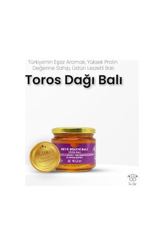 Toros Dağı Deve Dikeni Balı 400 G