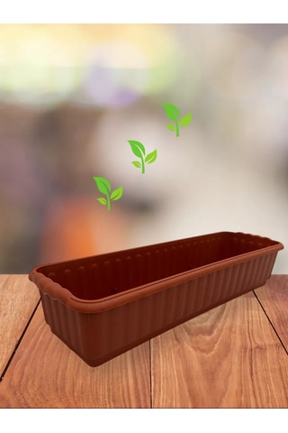 Prohoz Fide Ve Çiçekler İçin Tepsi 207487157