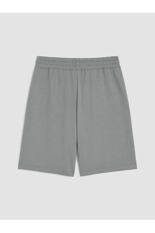 Lcwaıkıkı Classic Gri Regular Fit Erkek Şort