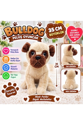 Storeşahin 62566 Peluş Buldog Köpek 35 Cm Adet Fiyatıdır Shn0720 Çok Renkli
