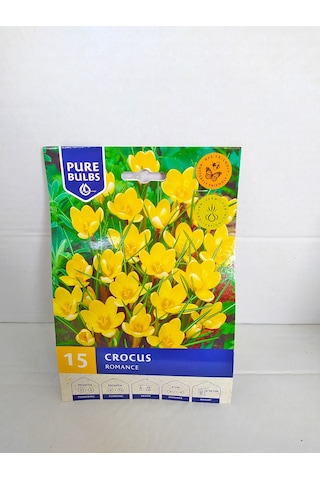 Crocus Romance Sarı Çiğdem Soğanı 15 Adet Soğan